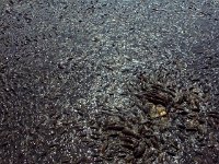 photos 2000-200902914